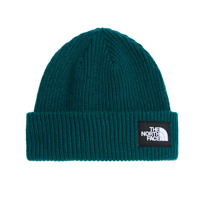 Cappello The North Face Salty Lined Beanie NF0A8CGZN4J1