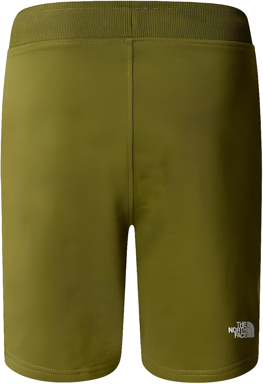 Pantaloncini The North Face M Stand Short Lite NF0A3S4E