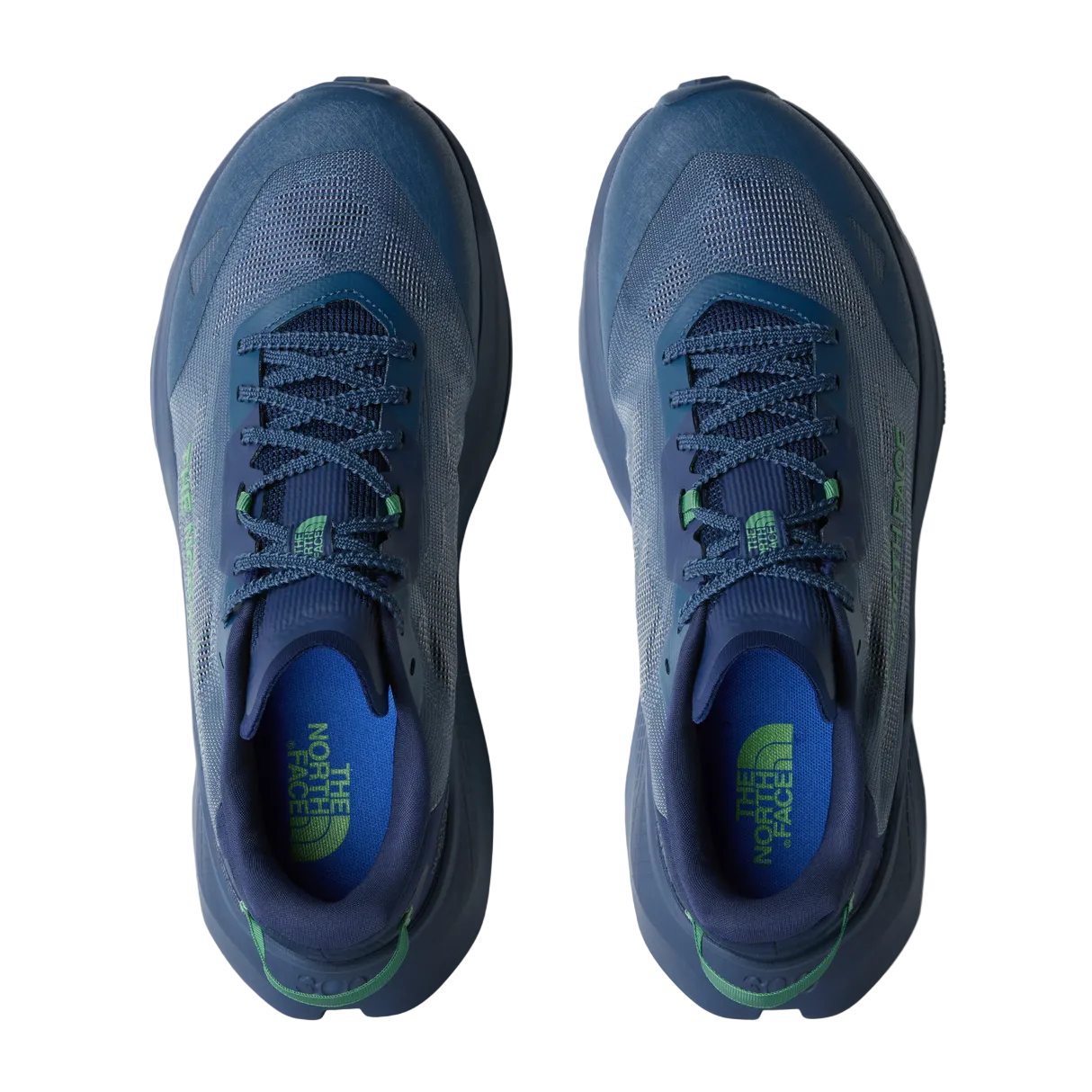 Scarpe The North Face M Altamesa 300 V2 NF0A8G6M