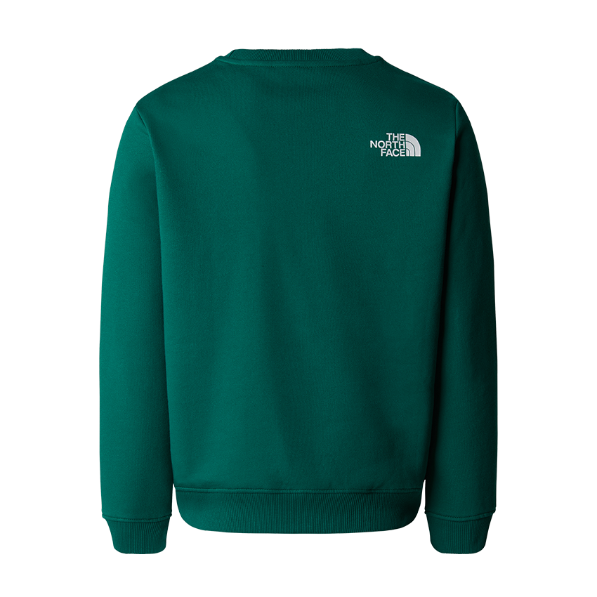 Felpa The North Face Teen Versity Graphic Relaxed Crew NF0A89H8