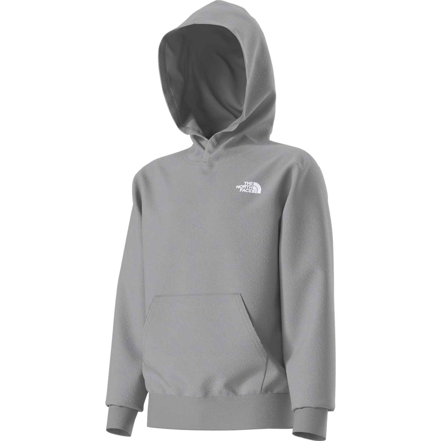 Felpa The North Face Teen Evoltn Sd Po Hdy NF0A8CV6CQO1