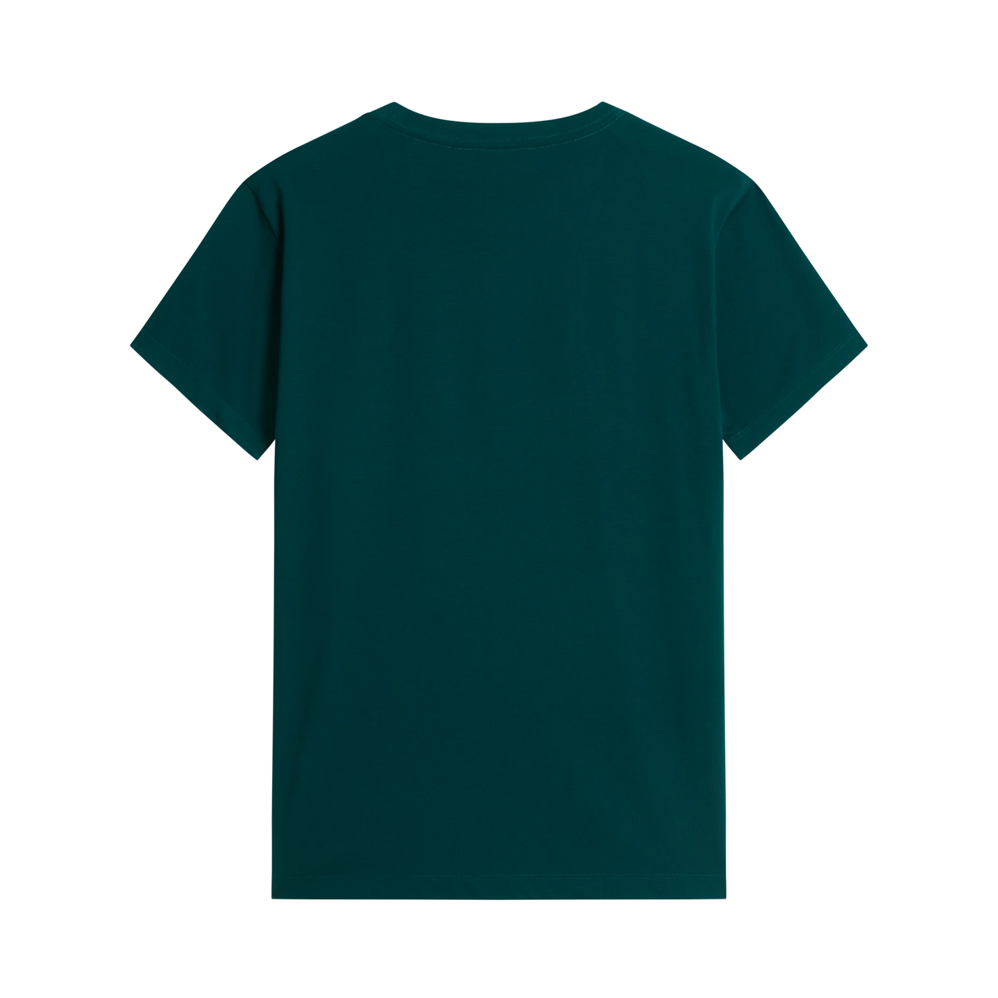 T-Shirt The North Face M Evo Sd Reg Ss Tee NF0A8CZ2N4J1