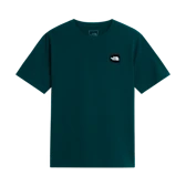 T-Shirt The North Face M Monte Reg Ss Tee-Grap NF0A8JAVN4J1