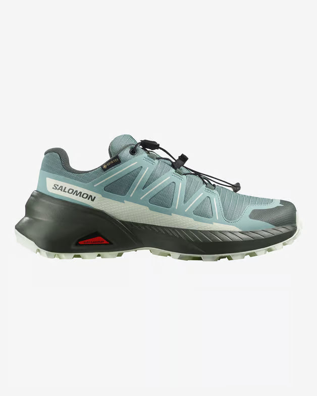 Scarpe Salomon Speedcross Peak Gtx W 479745