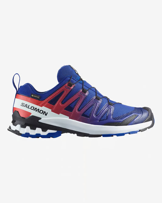 Scarpe Salomon Xa Pro 3D V9 Gtx Equipe 479826