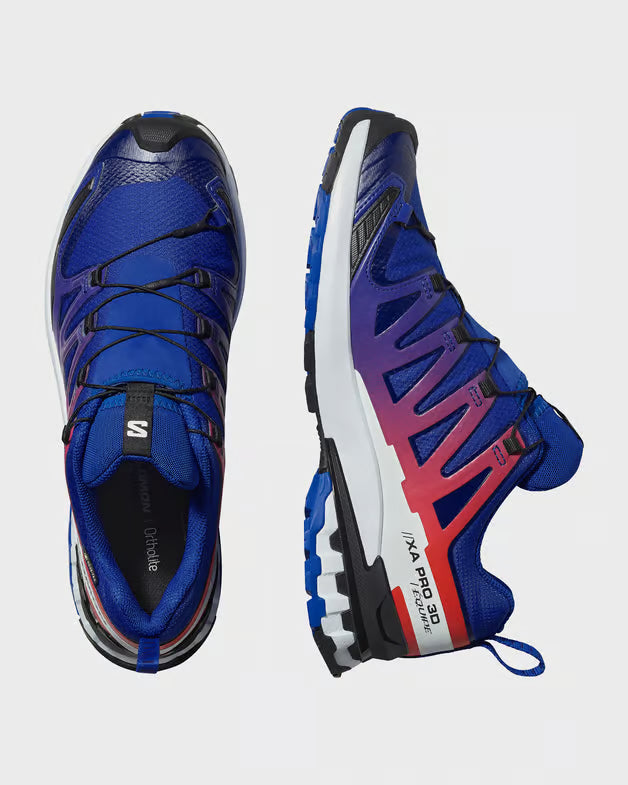 Scarpe Salomon Xa Pro 3D V9 Gtx Equipe 479826