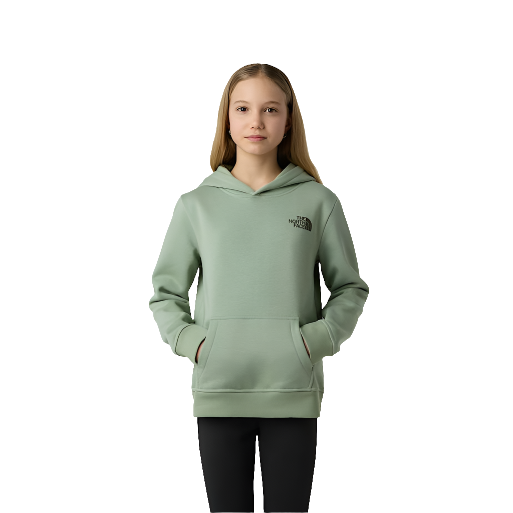 Felpa The North Face Teen Box Nse Regular Pullover Hoodie NF0A89H9