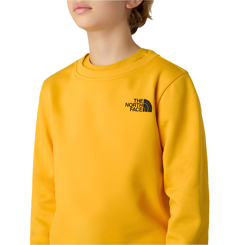 Felpa The North Face Teen Box Nse Regular Crew NF0A89H7