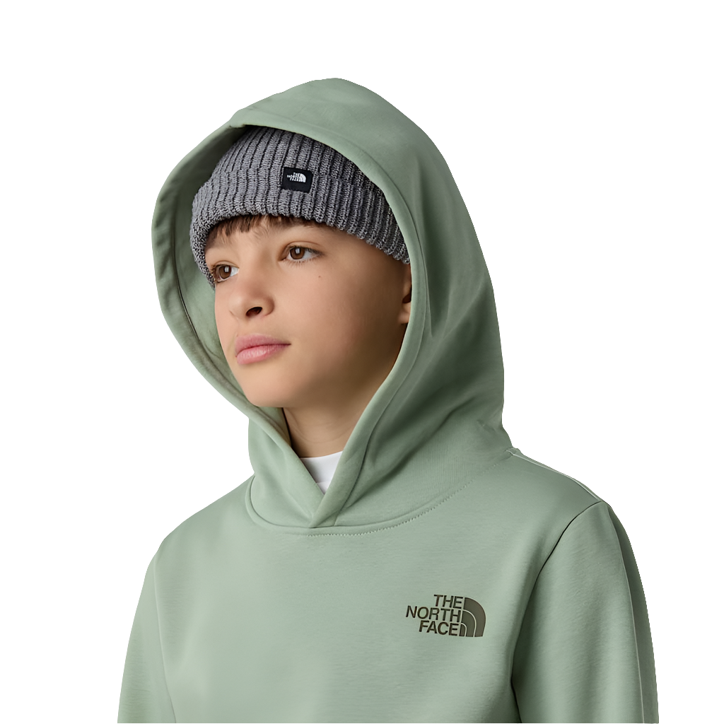 Felpa The North Face Teen Box Nse Regular Pullover Hoodie NF0A89H9