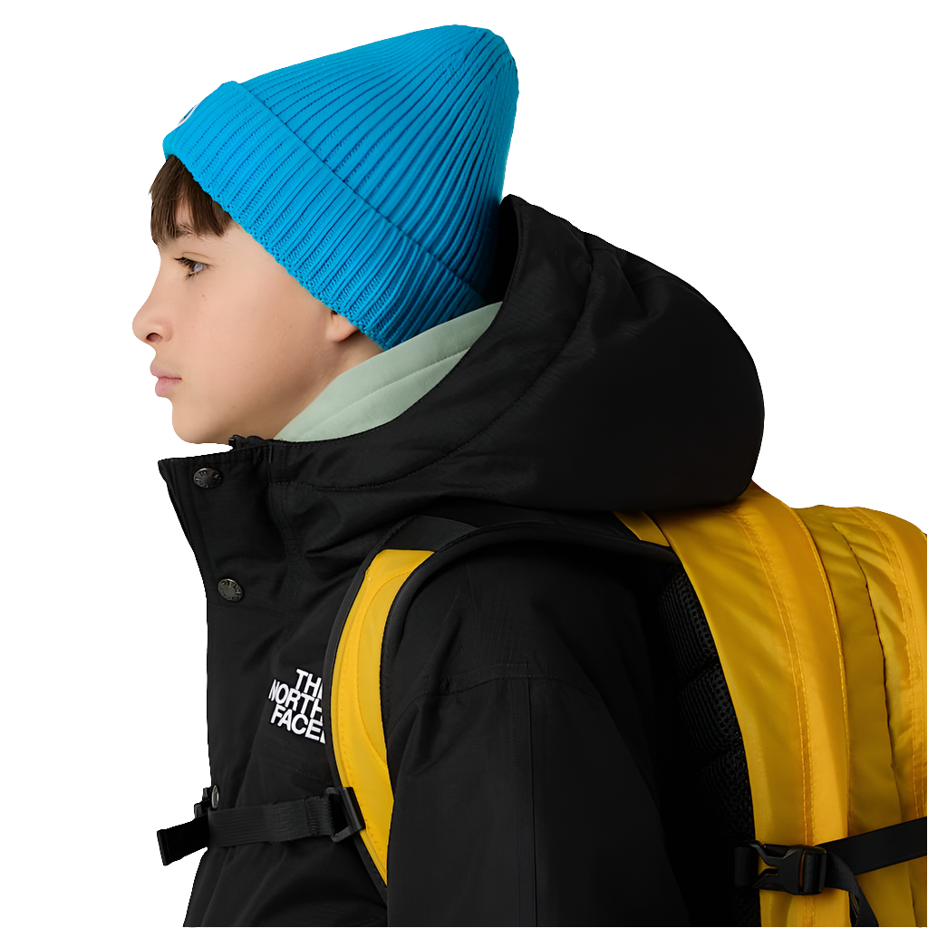 Cappello The North Face Kids Tnf Logo Box Cuffed Beanie NF0A8CGU