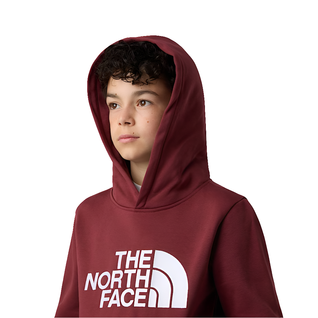 Felpa The North Face Teen Drew Peak Pullover Hoodie NF0A8EHH