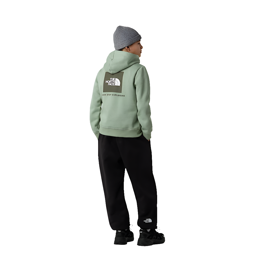 Felpa The North Face Teen Box Nse Regular Pullover Hoodie NF0A89H9