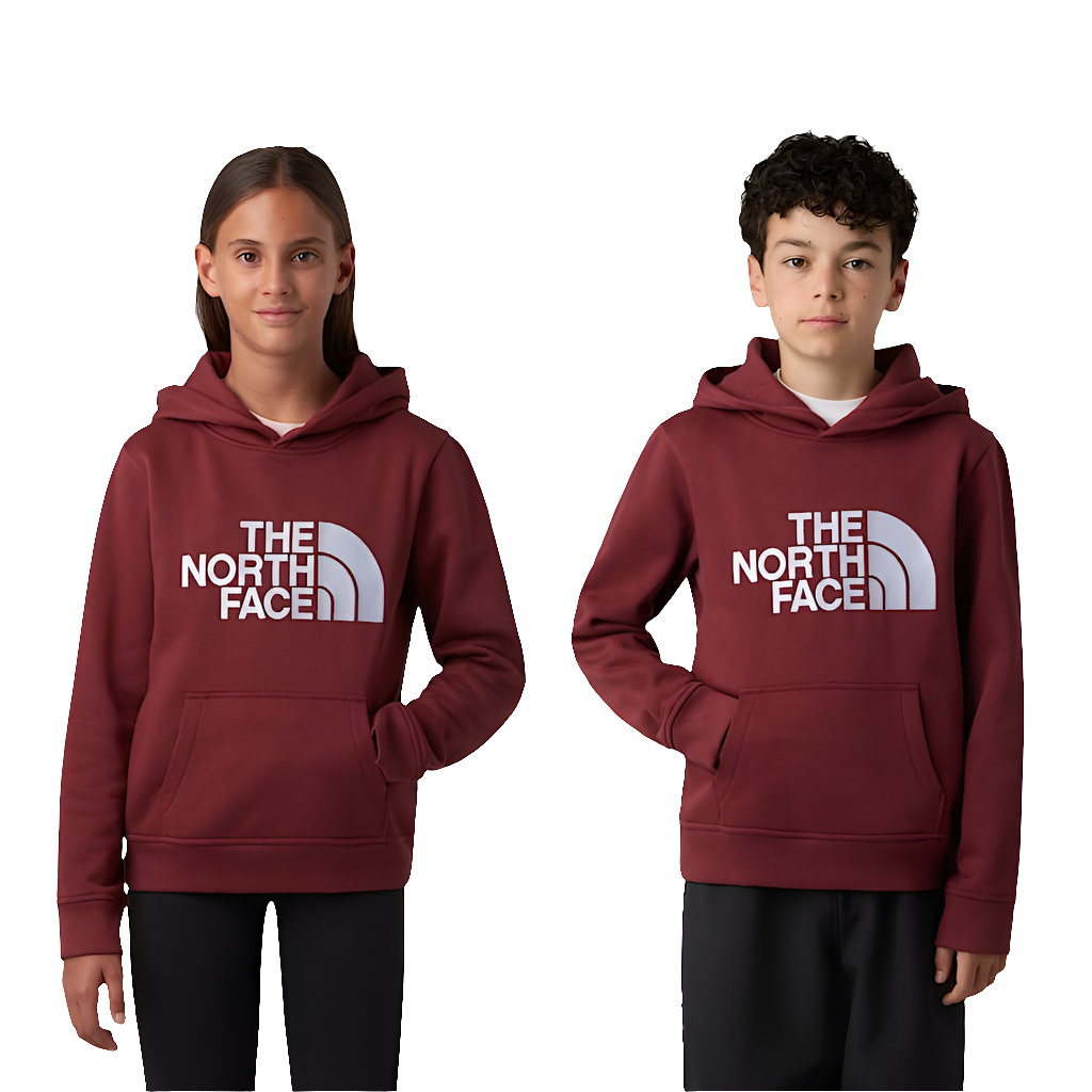 Felpa The North Face Teen Drew Peak Pullover Hoodie NF0A8EHH