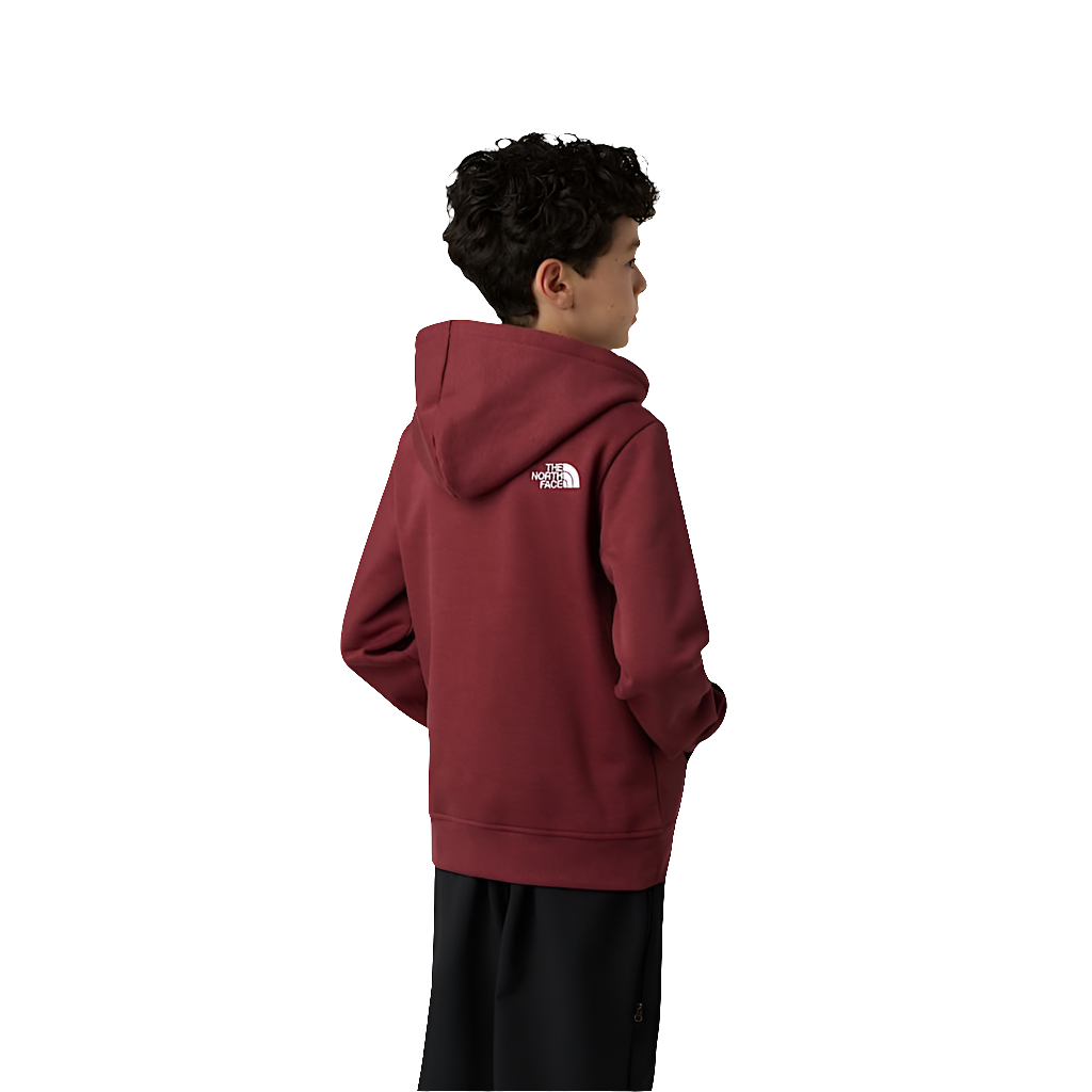 Felpa The North Face Teen Drew Peak Pullover Hoodie NF0A8EHH