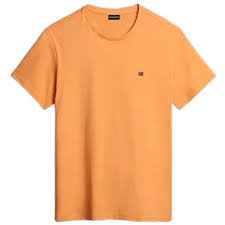 T-Shirt Napapijri Salis C Ss 0A4EW8