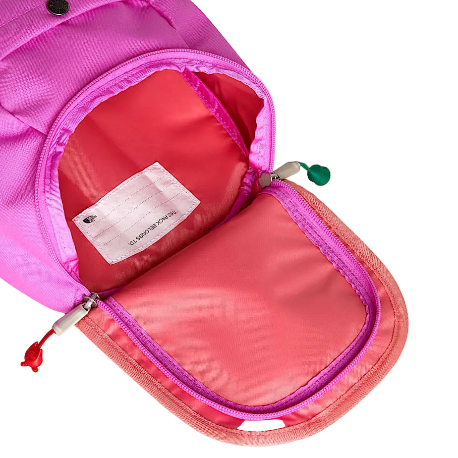 Zaino The North Face Y Mini Explorer Bkp NF0A52VW