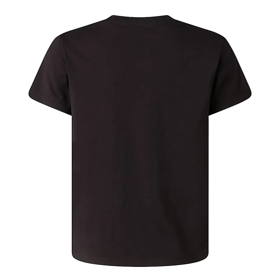 T-Shirt The North Face B Liquid Logo Reg Ss Tee NF0A8G1W