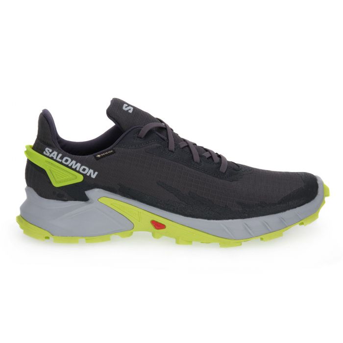 Scarpe Salomon Alphacross 4 Gtx 470667
