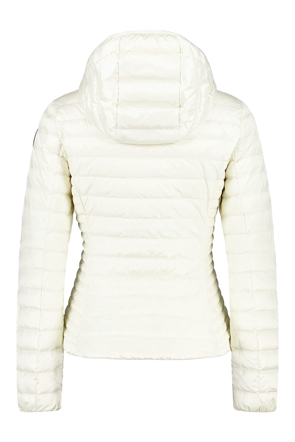 Giacca Ciesse Piumini Carrie 205CFWJ00178