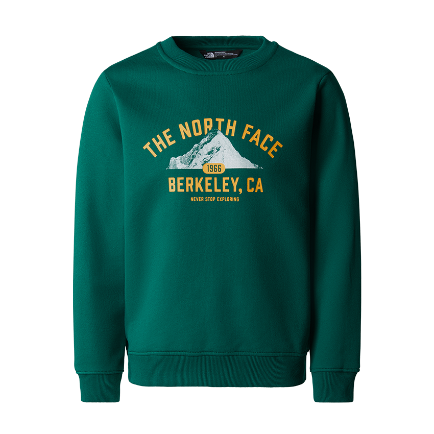 Felpa The North Face Teen Versity Graphic Relaxed Crew NF0A89H8