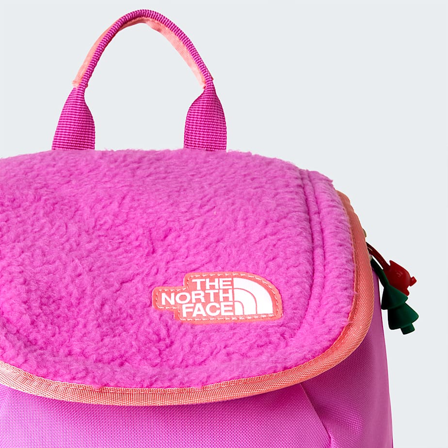 Zaino The North Face Y Mini Explorer Bkp NF0A52VW